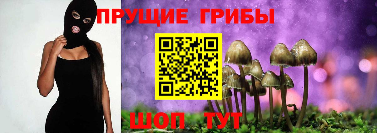 Амурск  Галлюциногенные грибы прущие грибы  Вход с VPN 